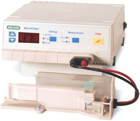 伯樂1652100電轉(zhuǎn)儀使用方法詳解